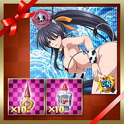 ꡼ No.003 | ֥ϥDD NEW FIGHTס1ǯǰƥƥɻ