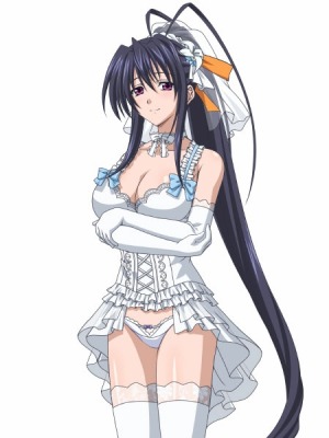 ꡼ No.005 | ֥ϥDD NEW FIGHT1.95ver˥åץǡȡץ󥸥»