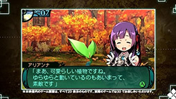 ꡼ No.003 | ֿµ2եեˡεΡסꥢʤξҲࡼӡˡ֥ڥ륽ʡץ꡼βڥ٥ȳŤ