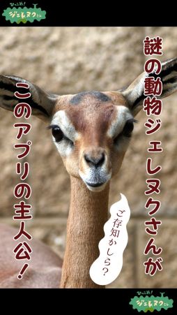 ������#002�Υ���ͥ���/�֤Ҥä��ᡪ������̥�������ۿ����ϡ����ưʪ�򥹥磻�������༣���褦