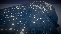 ꡼ No.047 | ʤΡֻ˽Ф륲॰եåס4˥쥤ȥ쥢ץǺ夲The Tomorrow Childrenפʥӥ奢롤