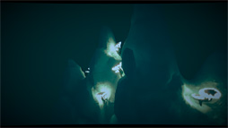 ꡼ No.018 | ʤΡֻ˽Ф륲॰եåס5˥쥤ȥ쥢ץǺ夲The Tomorrow Childrenפʥӥ奢롤