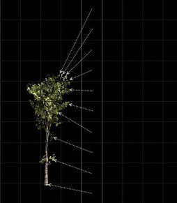 ꡼ No.021 | ʤΡֻ˽Ф륲॰եåס5˥쥤ȥ쥢ץǺ夲The Tomorrow Childrenפʥӥ奢롤