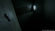 ������#003�Υ���ͥ���/PS4�����ۥ顼���������ADV��P.T.�פθ��������Ȥ������ץ󡣤��ޤ��ޤʥ��������᤿�����꡼�󥷥�åȤ������