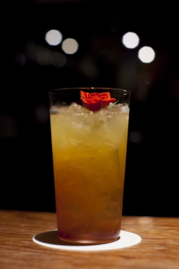 ꡼ No.003 | ֥Х֥륦åפϻڤΥե֡ColoR.פȥ