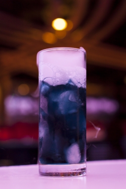 ꡼ No.004 | ֥Х֥륦åפϻڤΥե֡ColoR.פȥ