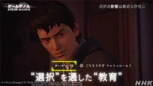 ꡼ No.026 | NHK֥ॲΥ7֥饤  ȥ󥸡׻İݡȡѤ߽ŤͤѲʪ򡤥ȿؤѤȶ˸