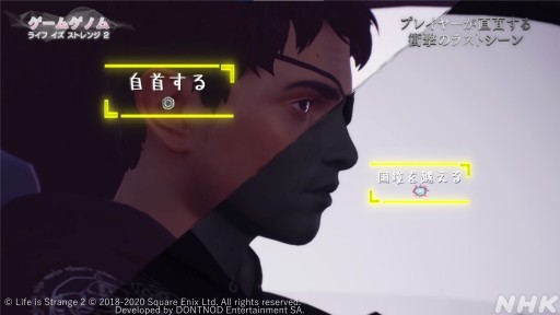 ꡼ No.029 | NHK֥ॲΥ7֥饤  ȥ󥸡׻İݡȡѤ߽ŤͤѲʪ򡤥ȿؤѤȶ˸