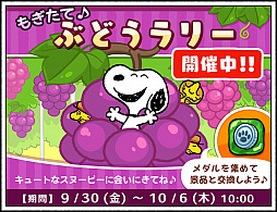 ꡼ No.001Υͥ / ̡֥ԡɥåץס٥ȡ֤⤮Ƣ֤ɤ꡼פȡ֤ɤΥ̡ԡо