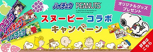 ꡼ No.001 | ̡֥ԡ ɥåץסۤΥϥ奦ȴָΥܳ