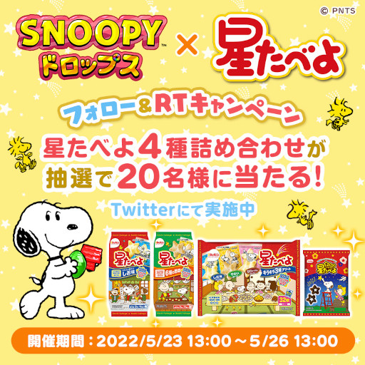 ���������꡼ No.001�Υ���ͥ������ / �֥��̡��ԡ� �ɥ��åץ��ס�����٤��������٤�פȤΥ���ܤ򳫺�