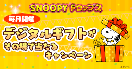 ���������꡼ No.003�Υ���ͥ������ / �֥��̡��ԡ��ɥ��åץ��ס����եȷ��ʤɤ������륭���ڡ���򳫺�