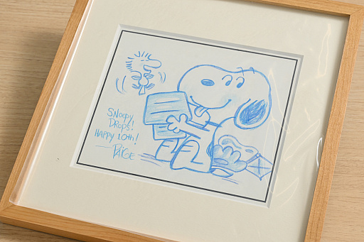 ꡼ No.013Υͥ / Υ󥿥ӥ塼ϡ̡֥ԡɥåץפ10ǯ̡ԡˤʤäФäƤäȤ֤γڤǯ