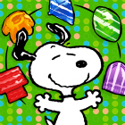 �ѥå�����