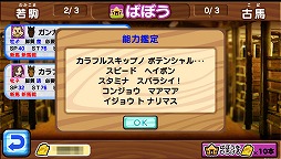 ꡼ No.008 | ֥ƥϡסåץǡȤǿǽƥबо