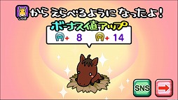 ꡼ No.016 | ֥ƥϡסåץǡȤǿǽƥबо