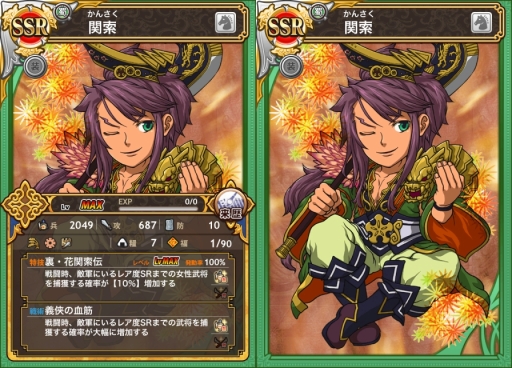 ꡼ No.009 | ֻƥ󥫥ȥꥬסִرפ˿줬о졣SSR[]ر