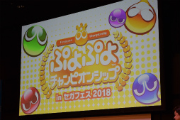 ꡼ No.014 | ֤פפԥ󥷥å in ե2018פšΡ֤פפץ꡼eݡĻܺȯɽ