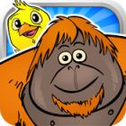 �ѥå�����