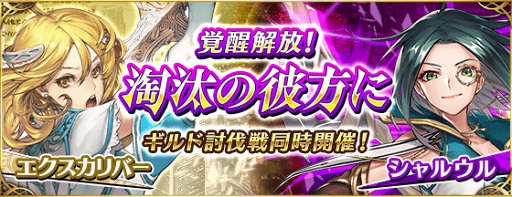 ꡼ No.005Υͥ / ֥ե󥭥סСȥ륦γóǰ٥Ȥ