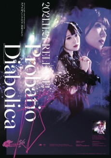 ꡼ No.007 | ֥եȥ  סեΡȤΥ饽CD1124ȯ