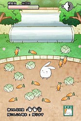 画像集#008のサムネイル/ウサギを進化させる育成SLG「これはうさぎですか?」スマホ向けに配信開始