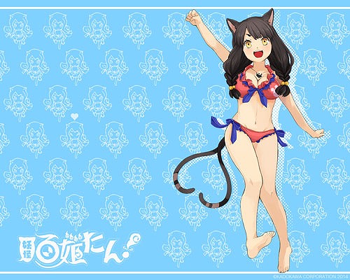 ���������꡼ No.003�Υ���ͥ������ / ���Ų�ɴɱ���󡪡׻�����Ͽ��1�������ˡ���ǰ������ŵ�����1�Ĥ��ɲ�