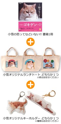 ꡼ No.006 | ֤뤰󥸥 Τ֥˥㤬פץ֤ͤΤפȥ