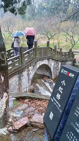 ꡼ No.008Υͥ / ͤηϡ褯ޥ˥סȴرܡɤˤäֻԢ֡PRȤȡ꡼ֶΡֻԢ֥쥮ױ۸ëץǥ塼ؤΥ󥿥ӥ塼