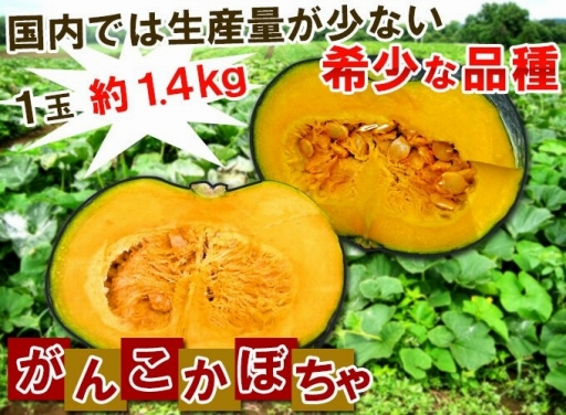 ������#002�Υ���ͥ���/��Ȫ�äԡ�Τ�����餷���ס��򴹺�ʪ�˴����ʡ֤��󤳤��ܤ���פ��о�