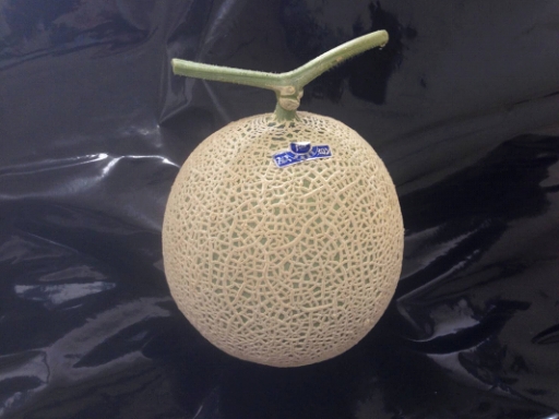 画像ギャラリー No.001のサムネイル画像 / 「畑っぴ」にて「無料ゲームでマスクメロンをゲットしよう!!」が開始