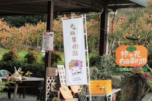 ���������꡼ No.001�Υ���ͥ������ / ��Ȫ�äԡס�������ǰ�Ƥ���ʪ���Ϥ��ֱ��Ĳ̼���γ�������פ��ۿ�����