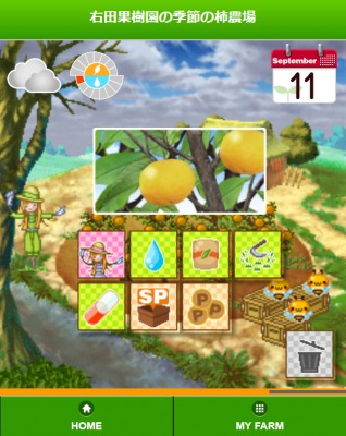 畑っぴ ゲームで育てた作物が届く 右田果樹園の柿ゲーム を配信開始