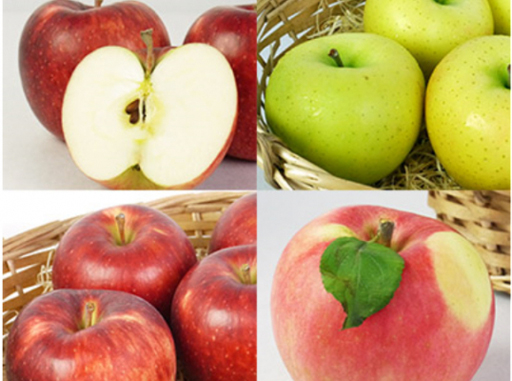 ���������꡼ No.001�Υ���ͥ������ / ��Ȫ�äԡס���󤴤���Ϥ�����դȤ餺��󤴥�����פ��ۿ�����