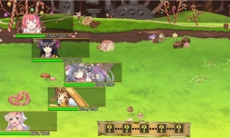 ꡼ No.006 | ֲסХ󥿥󥤥٥ȡ֥祳졼ȹΩľפ򳫺