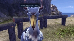 ꡼ No.003Υͥ / ֥VIIIץꥳåɤȸƤֲۤĻ֥ϥӥפˡǤΰġ֥եå󥰡פξ