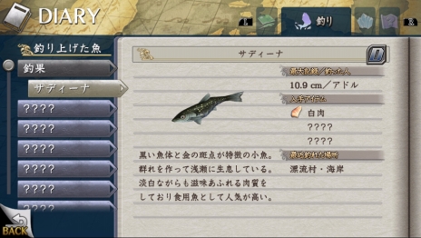 ꡼ No.010Υͥ / ֥VIIIץꥳåɤȸƤֲۤĻ֥ϥӥפˡǤΰġ֥եå󥰡פξ