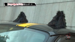 画像ギャラリー No.005のサムネイル画像 / 「ペルソナストーカー倶楽部V」第2回が公開。ボイスメッセージで戸松 遥さんも登場