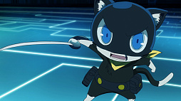 ���������꡼ No.007�Υ���ͥ������ / TV���˥�֥ڥ륽��5����21����ԥ��åȤ�������ʡ�����󡤸;�����б��Web�饸����11����ۿ���