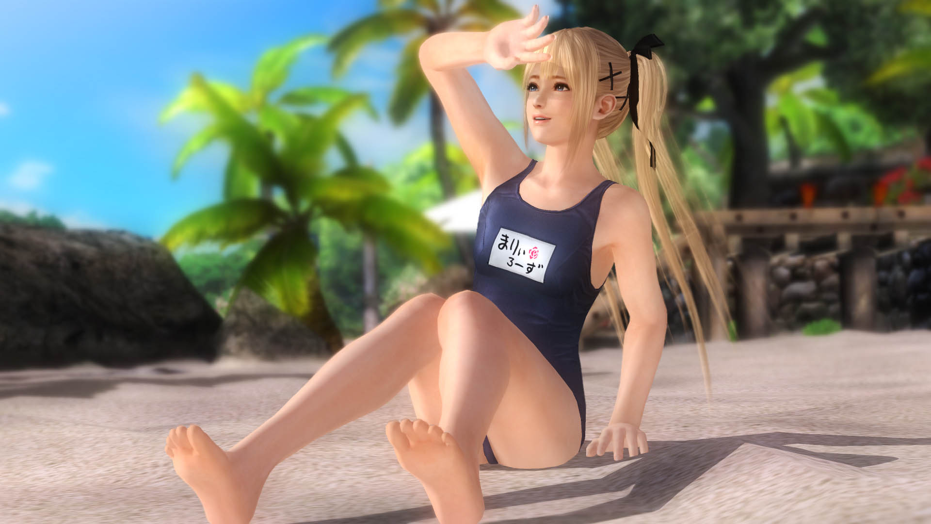 ꡼ No.018 | DEAD OR ALIVE 5 Last RoundסܡȤɤäƻפλ郎ꡣŵ˴ؤҲ