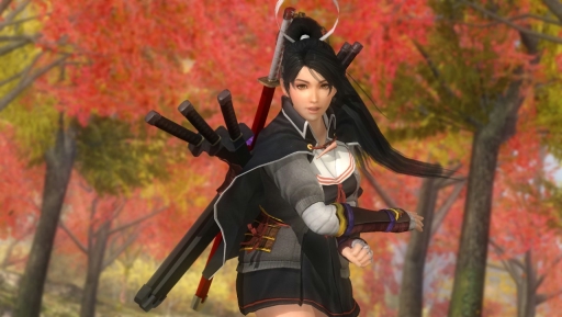 ꡼ No.011Υͥ / DEAD OR ALIVE 5 Last RoundפΡ𥫥ץܥۿȡƮȰˤ֤ǧǤҲࡼӡ