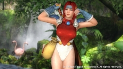 ꡼ No.016 | DOA5 Last Roundܥե륳ȤΥܥ塼ब915ۿ