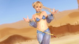 ���������꡼ No.015�Υ���ͥ������ / ��DOA5LR�ץǥ����ʡ����̾�2015�������塼��ȥ�������ѥ�3�������ۿ�