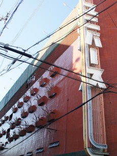 画像ギャラリー No.001のサムネイル画像 / 「LoVA」「DOA5LA」など,ジャンルの異なる5タイトルでの東西戦。2連覇を狙う西軍ホームで開催された「Red Bull 5G 2015 FINALS」レポート