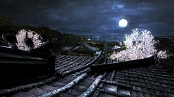 画像ギャラリー No.018のサムネイル画像 / 「DEAD OR ALIVE 5 Last Round」と「DEAD OR ALIVE 5 Ultimate: Arcade」に,戦国無双シリーズの井伊直虎が参戦