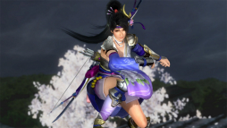 ꡼ No.029 | DEAD OR ALIVE 5 Last Round̵ФΥ饯ˤʤ꤭륳ܥ塼ۿ