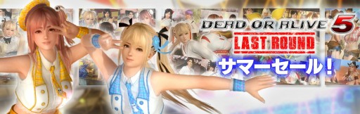 ���������꡼ No.001�Υ���ͥ������ / ��DOA5 LR�ס���������ѥ��������ˤʤ륵�ޡ����������������