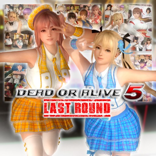 ���������꡼ No.002�Υ���ͥ������ / ��DOA5 LR�ס���������ѥ��������ˤʤ륵�ޡ����������������