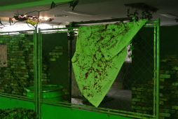 ���������꡼ No.020�Υ���ͥ������ / �֥Х����ϥ����� ��٥졼�����2�פȥ��Х����ե�����ɡ�ASOBIBA�פȤΥ���ܤ������档��æ�Сפȡֵ߽Сפ�ơ��ޤˤ������̥롼������θ����Ƥ���