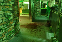 ���������꡼ No.021�Υ���ͥ������ / �֥Х����ϥ����� ��٥졼�����2�פȥ��Х����ե�����ɡ�ASOBIBA�פȤΥ���ܤ������档��æ�Сפȡֵ߽Сפ�ơ��ޤˤ������̥롼������θ����Ƥ���